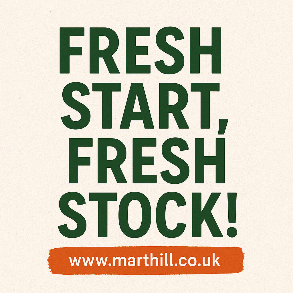 Fresh Start, Fresh Stock!